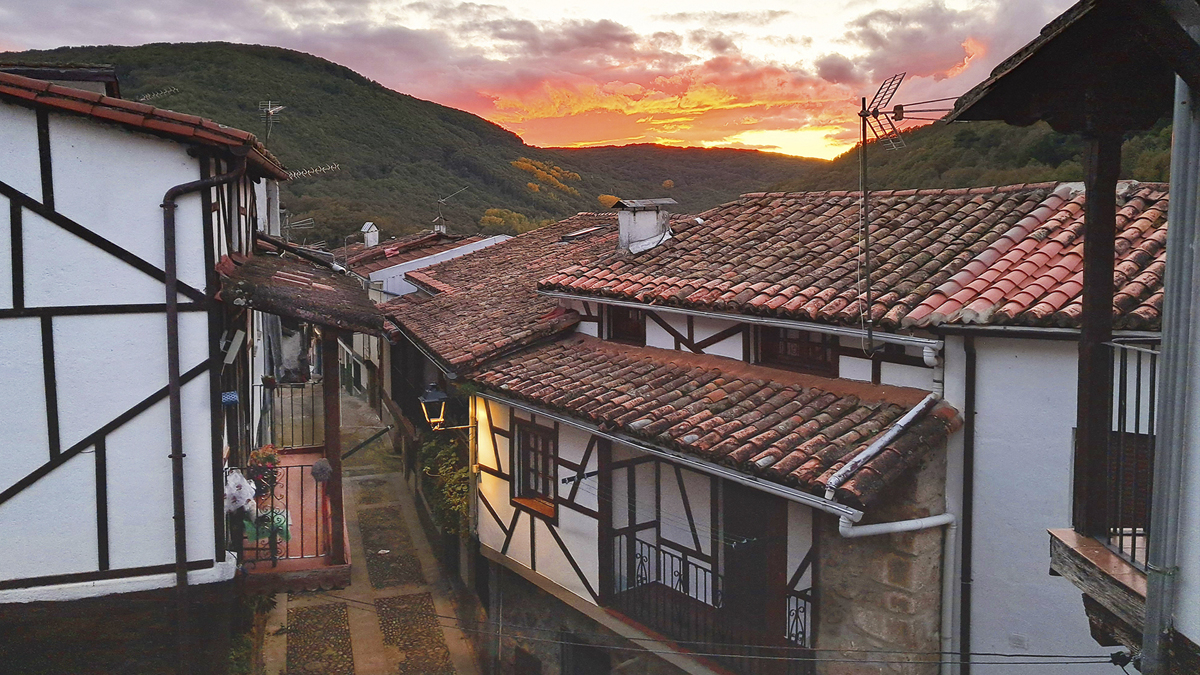 Concurso de Fotografía de la Candela Primavera 2025