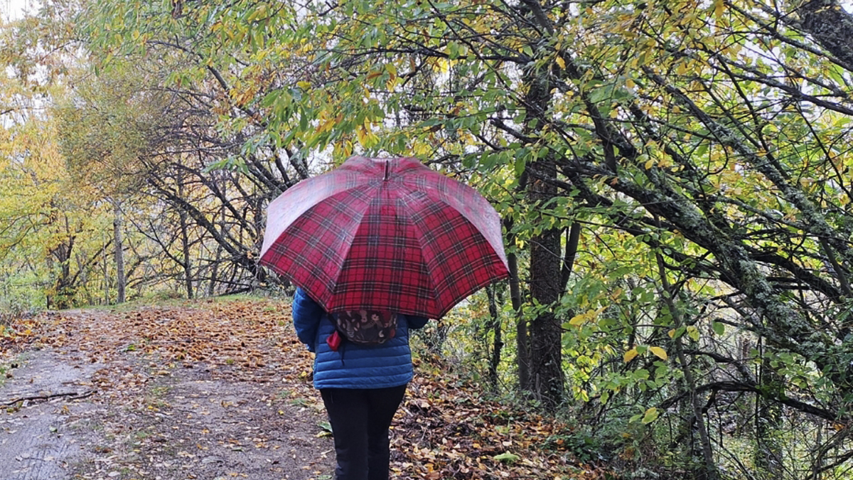 Sanchotello vive una nueva jornada del Festival de la Candela