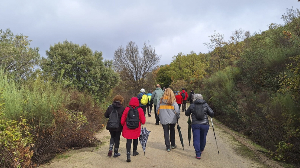 Pinedas acoge una nueva cita del Festival de la Candela
